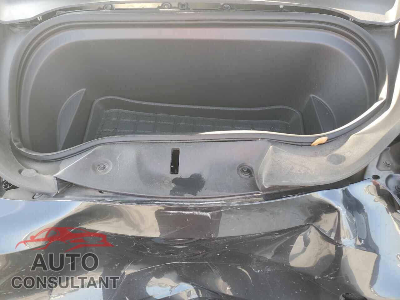 TESLA MODEL Y 2024 - 7SAYGAEEXRF033744