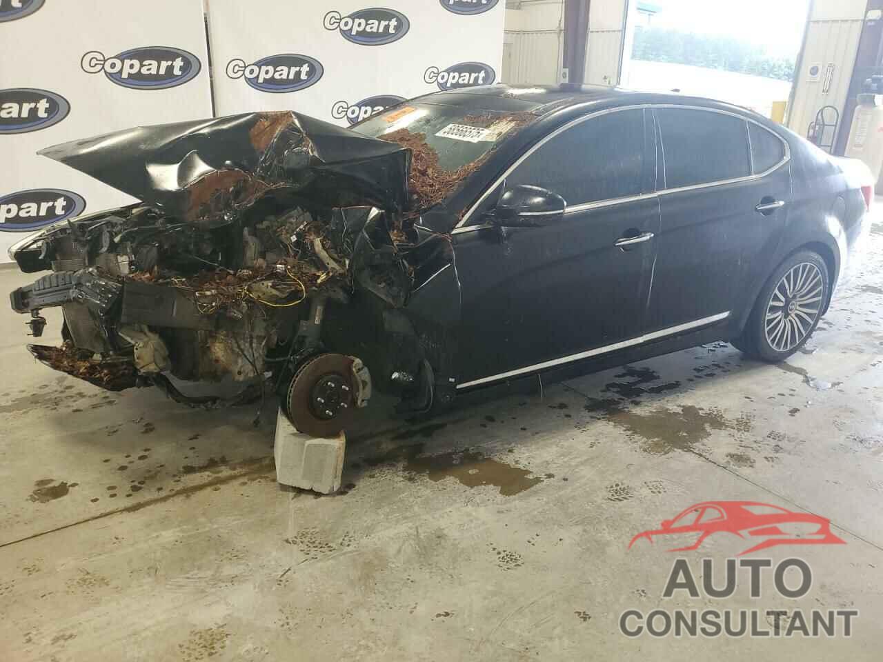 KIA CADENZA 2015 - KNALN4D72F5181656
