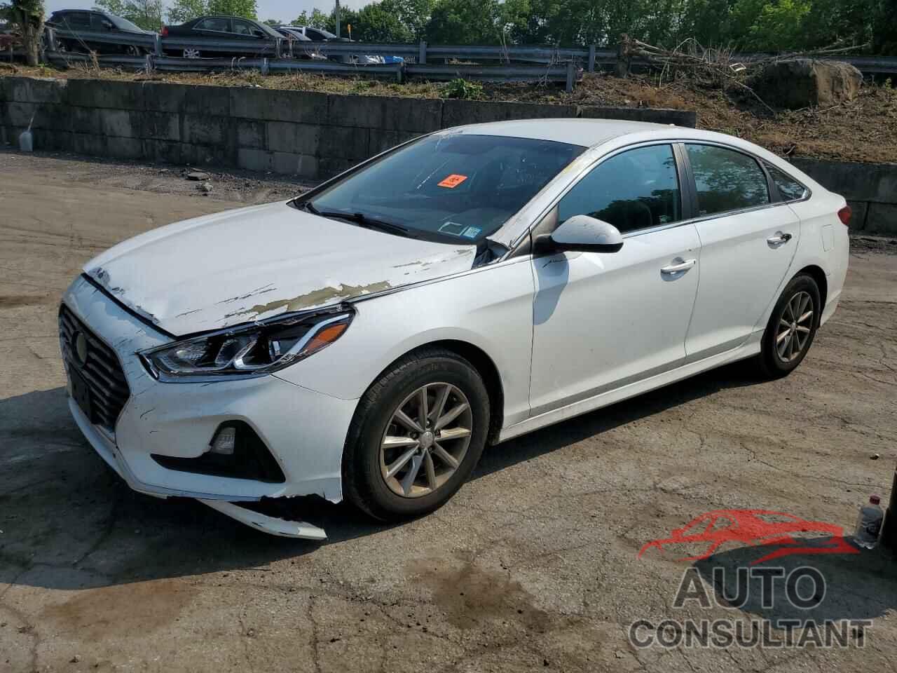 HYUNDAI SONATA 2019 - 5NPE24AF0KH735254