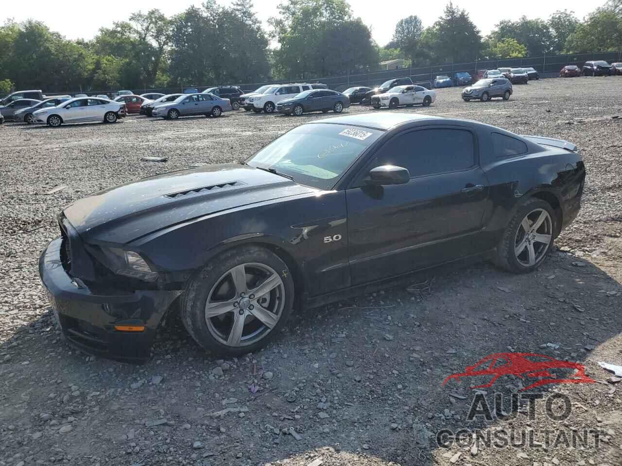 FORD MUSTANG 2013 - 1ZVBP8CF1D5242885