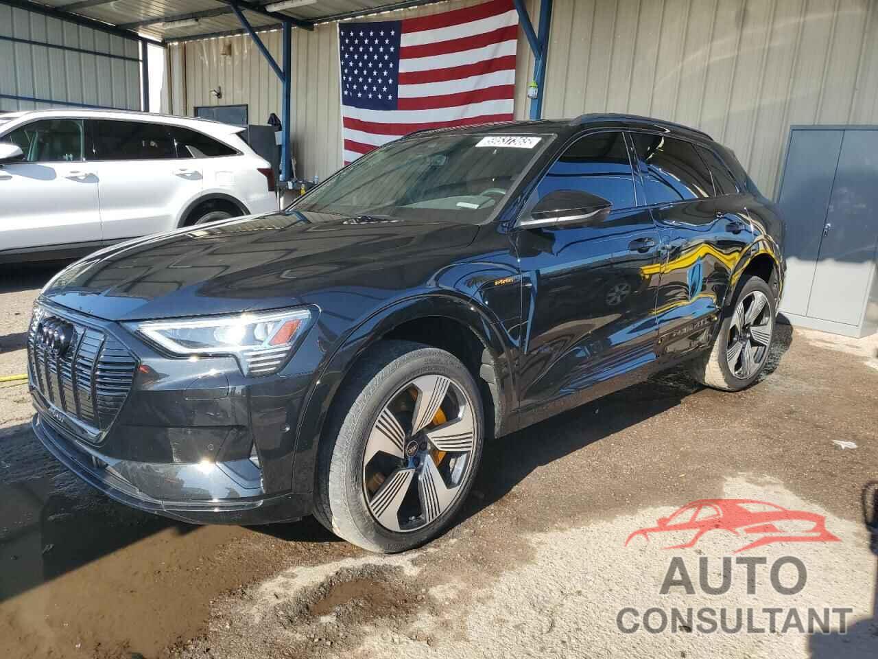 AUDI E-TRON 2022 - WA1LAAGE8NB031729