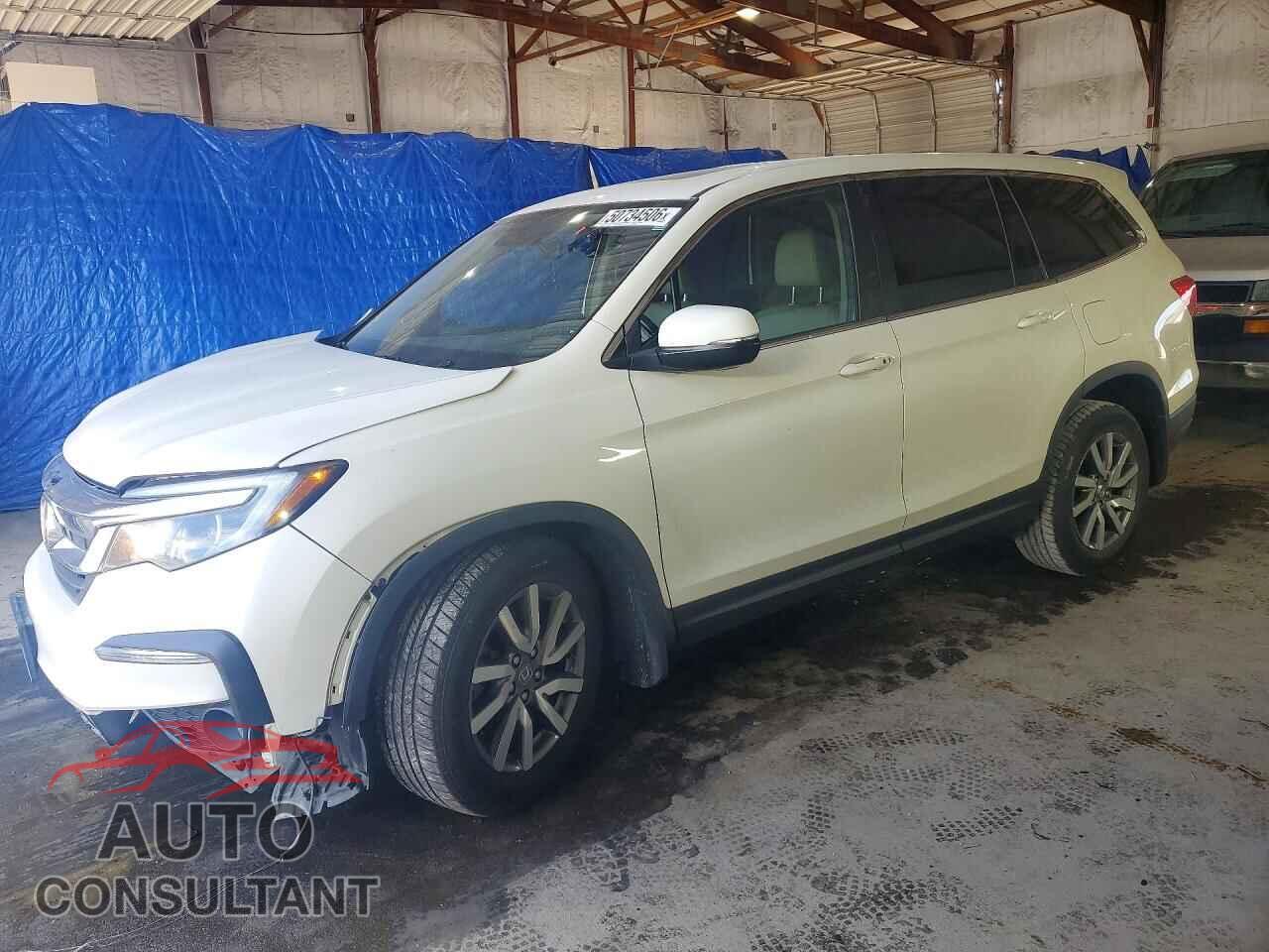 HONDA PILOT 2019 - 5FNYF5H51KB012533