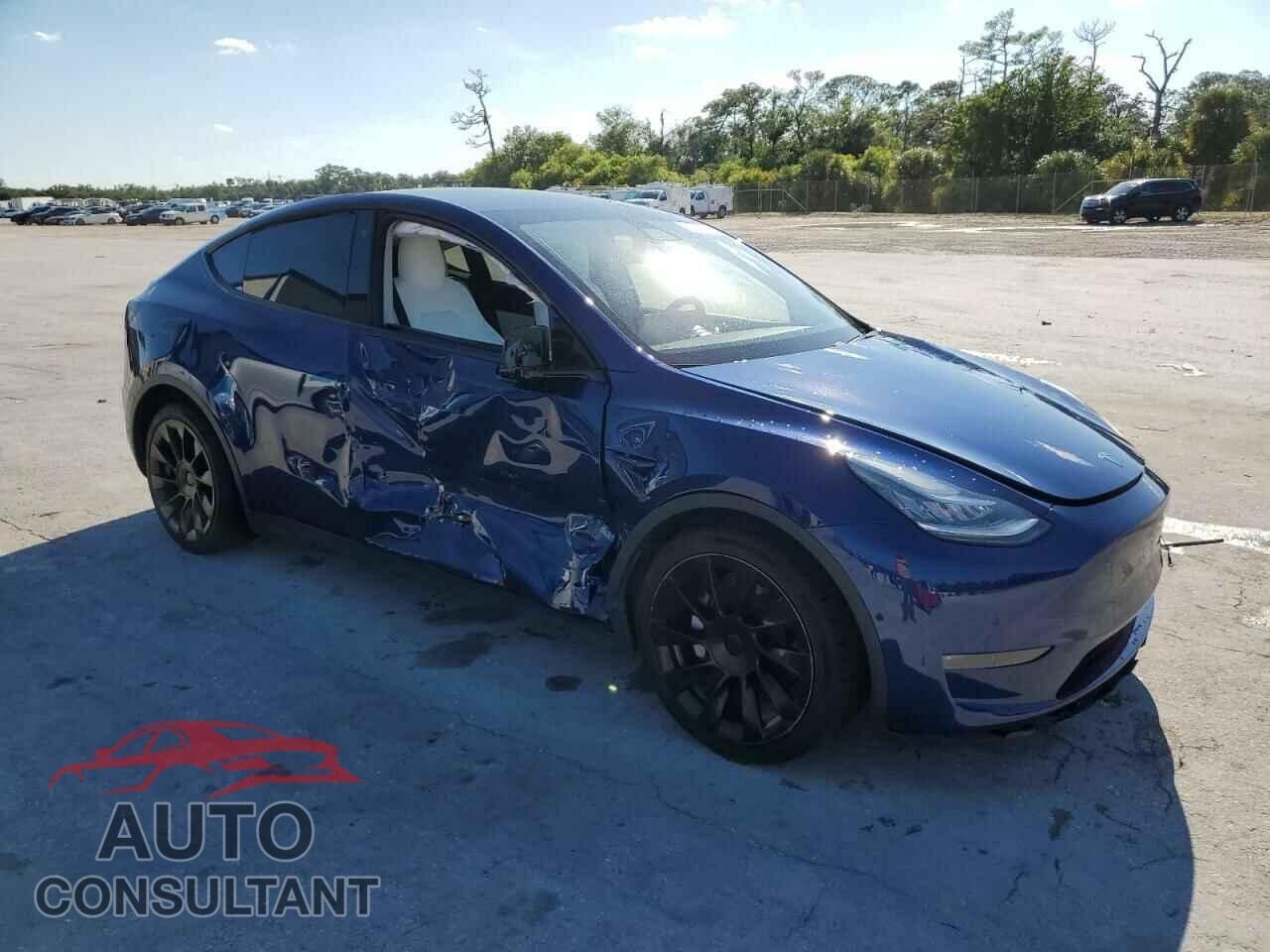 TESLA MODEL Y 2020 - 5YJYGDEE8LF034719