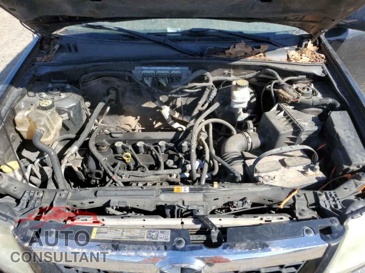 MAZDA TRIBUTE 2011 - 4F2CY0C73BKM01774