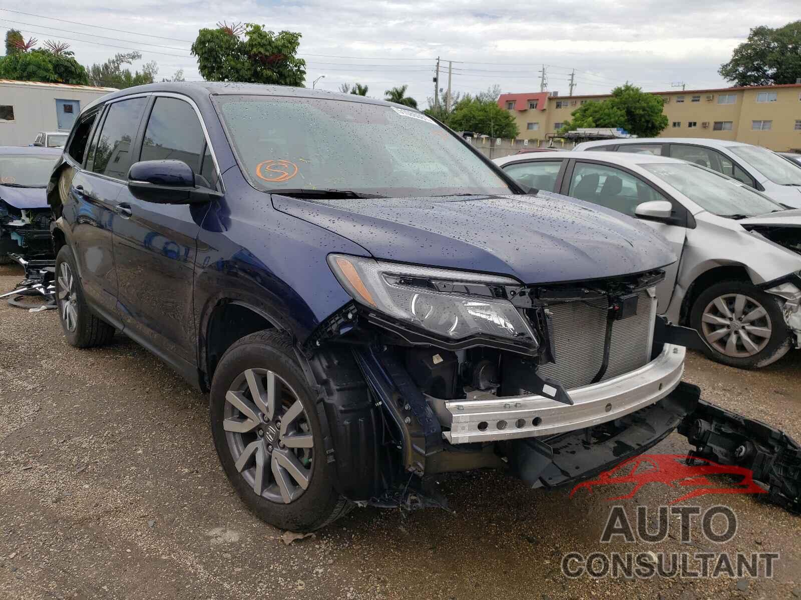 HONDA PILOT 2019 - 5FNYF5H59KB046512