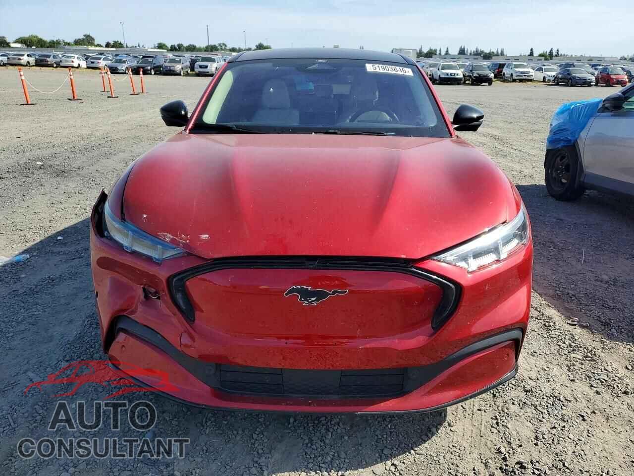 FORD MUSTANG 2021 - 3FMTK3R75MMA08103