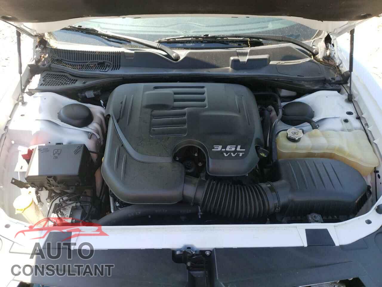 DODGE CHALLENGER 2019 - 2C3CDZAG8KH744448