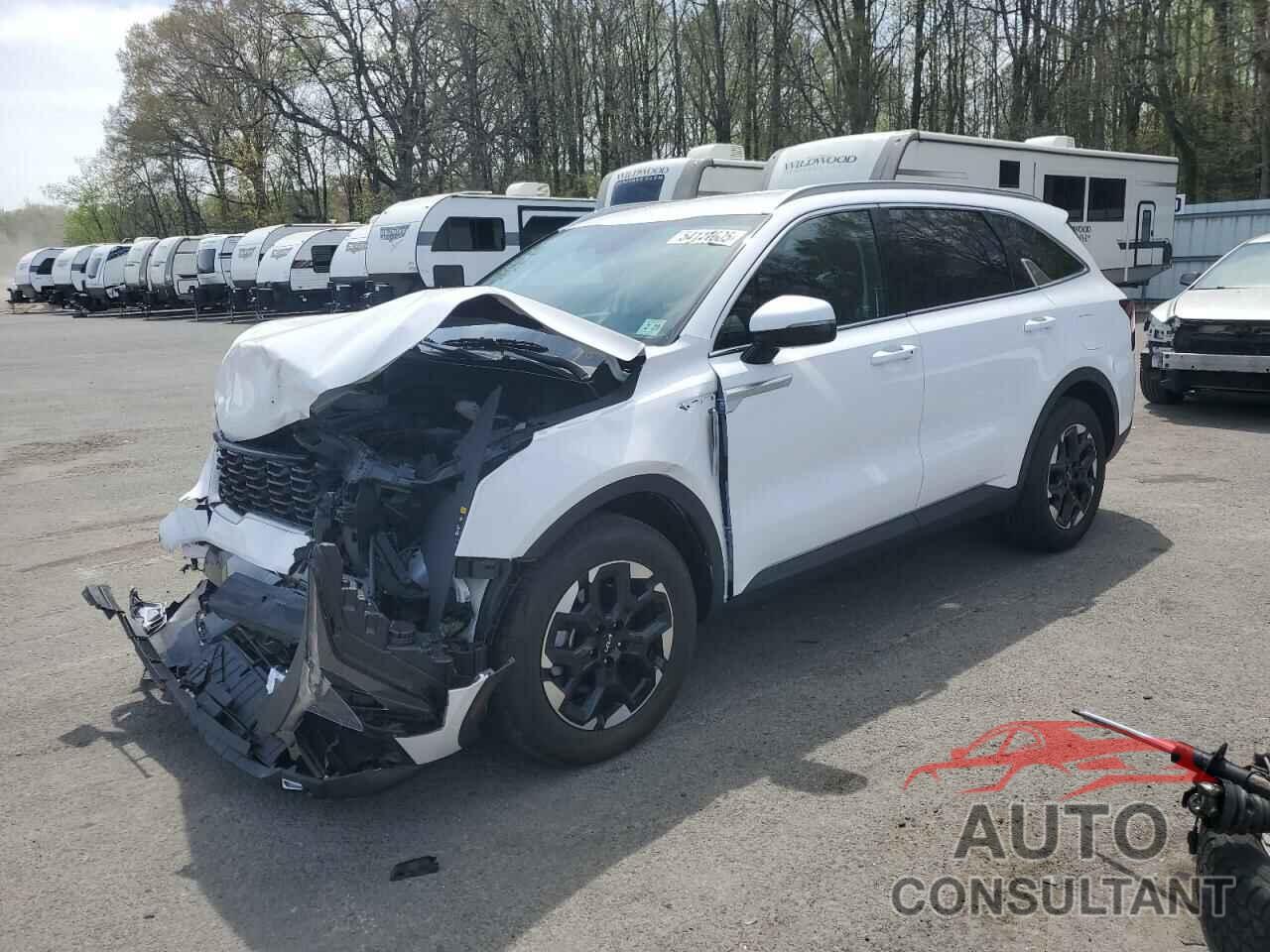 KIA SORENTO 2024 - 5XYRL4JC5RG288250
