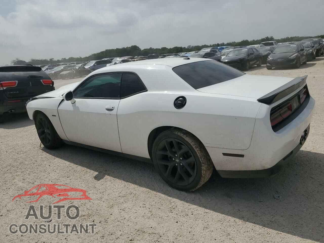 DODGE CHALLENGER 2019 - 2C3CDZBT6KH583285
