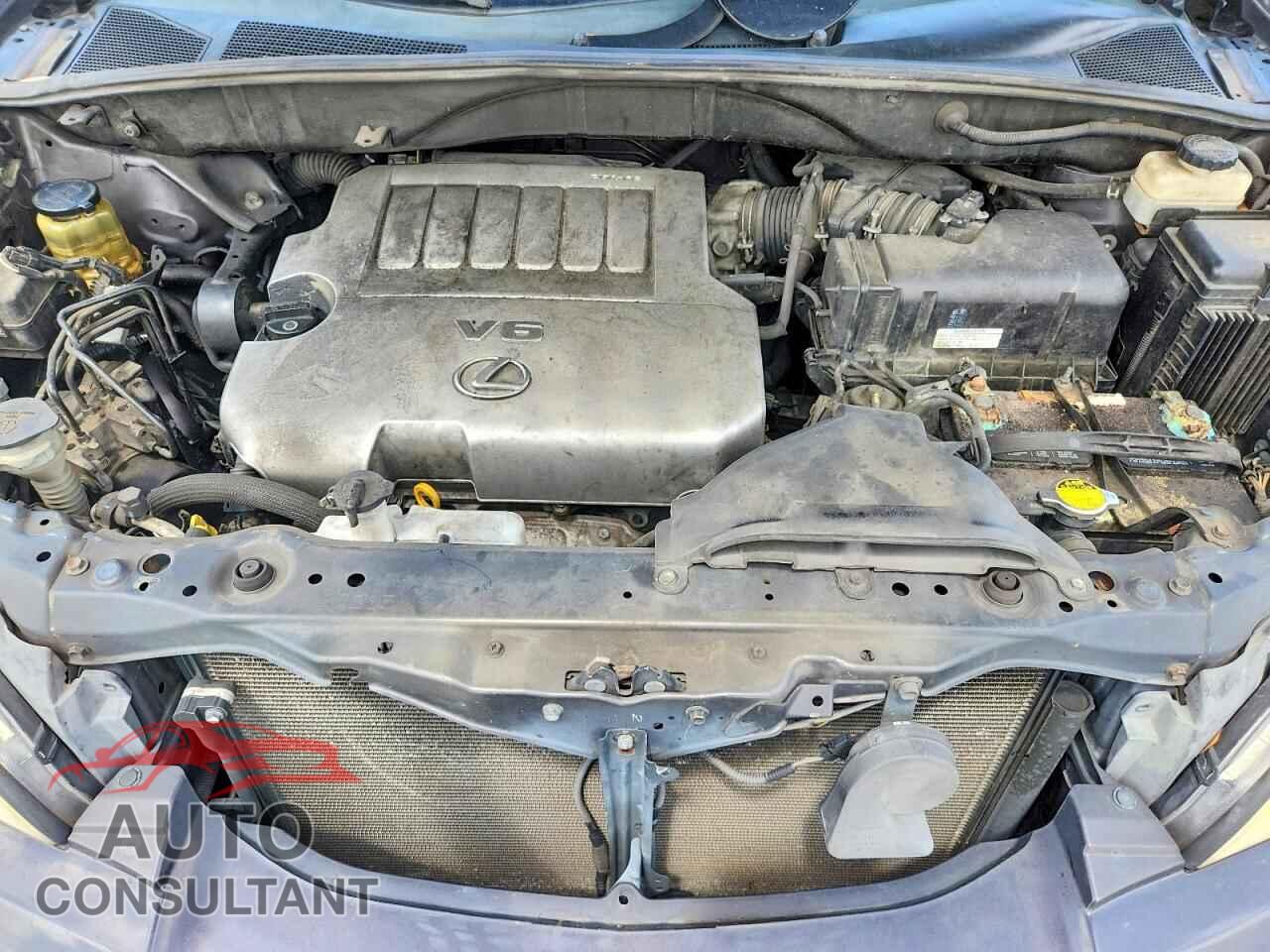 LEXUS RX350 2009 - 2T2GK31UX9C066923