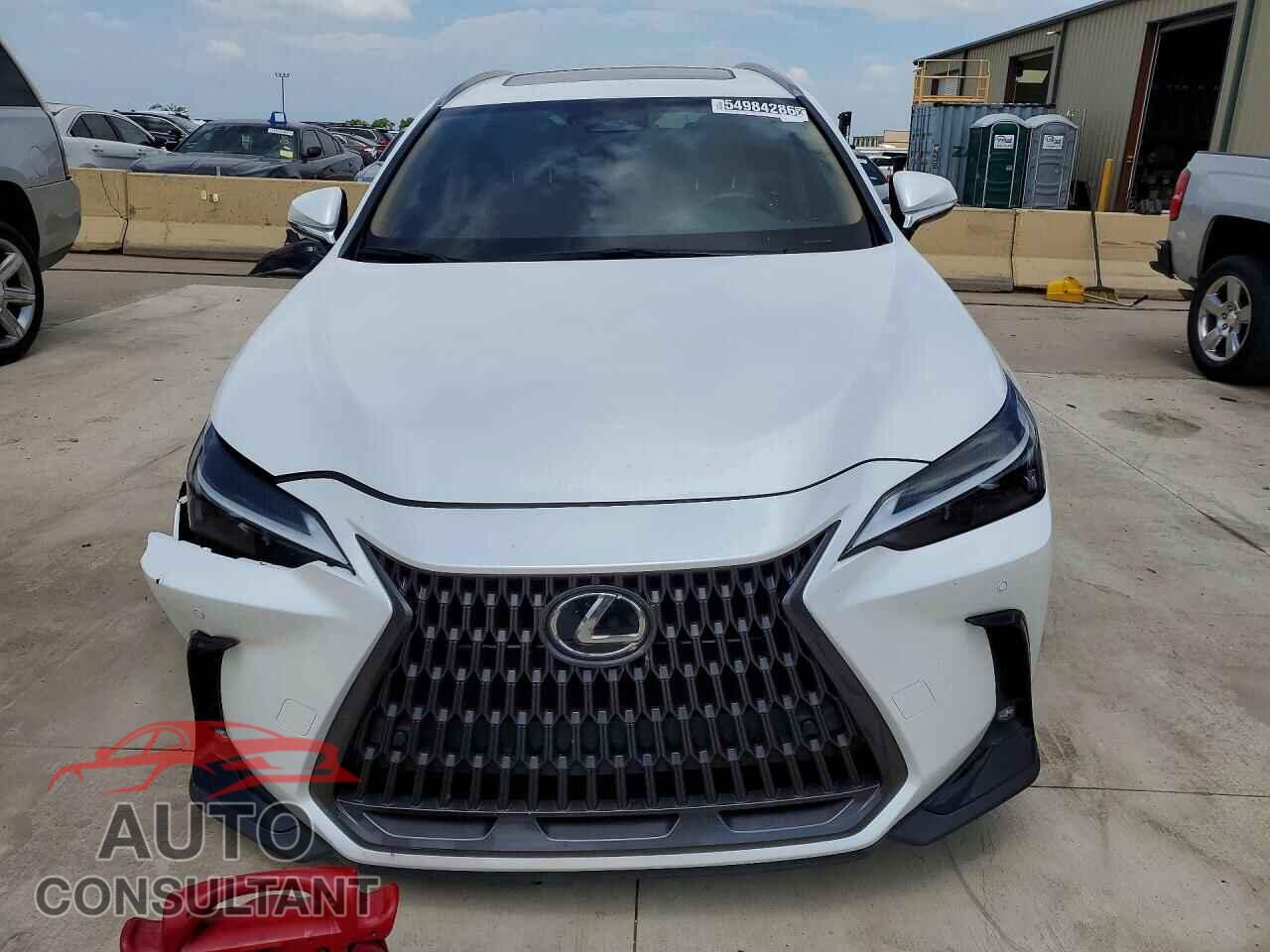 LEXUS NX 2025 - JTJGDCAZ2S5024420