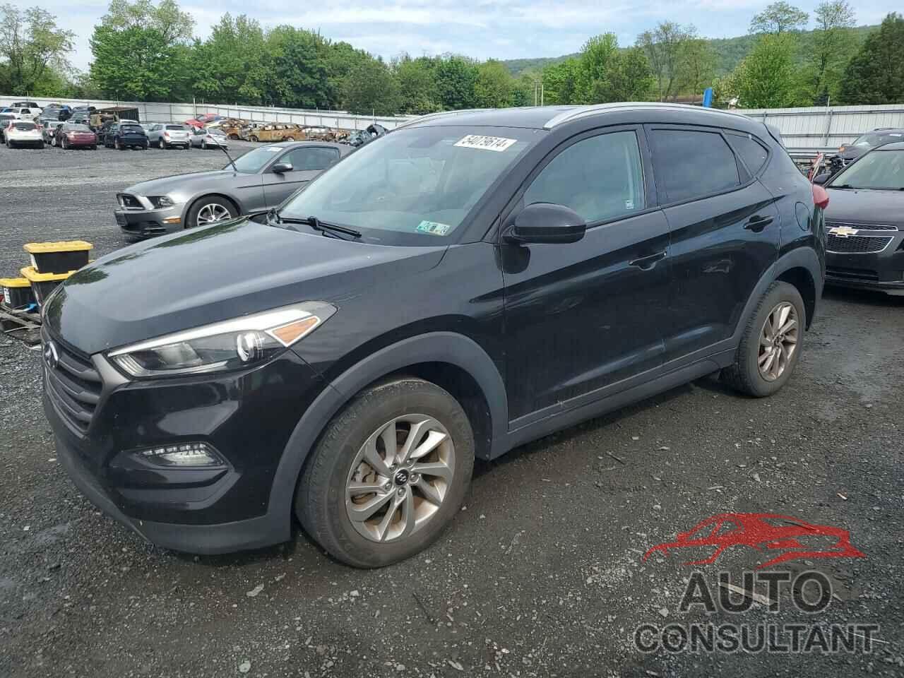 HYUNDAI TUCSON 2016 - KM8J33A43GU096588