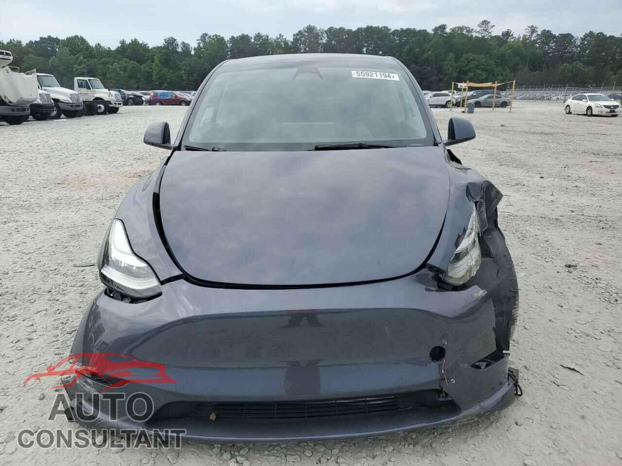 TESLA MODEL Y 2022 - 7SAYGDEE0NF481616