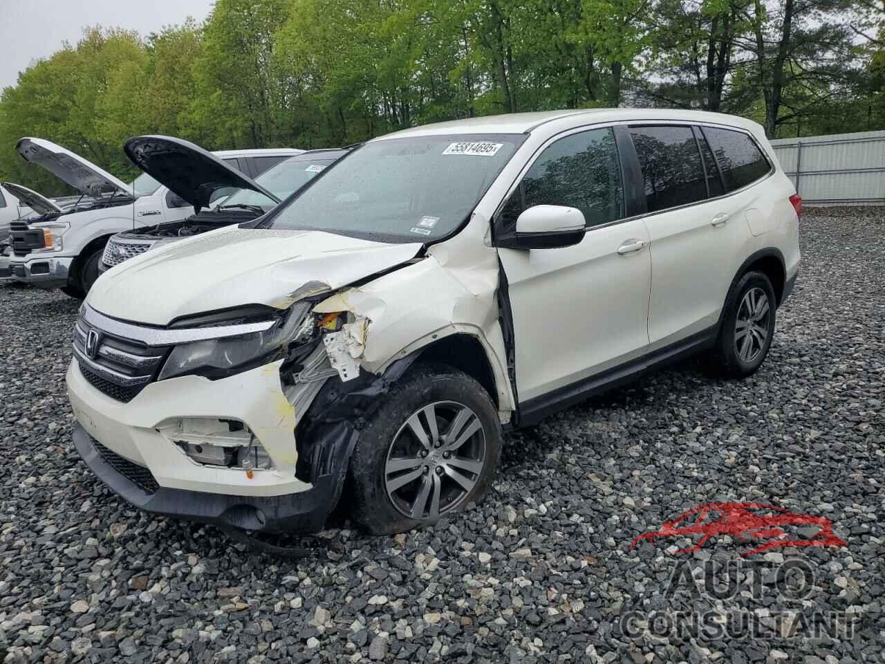 HONDA PILOT 2016 - 5FNYF6H38GB042916