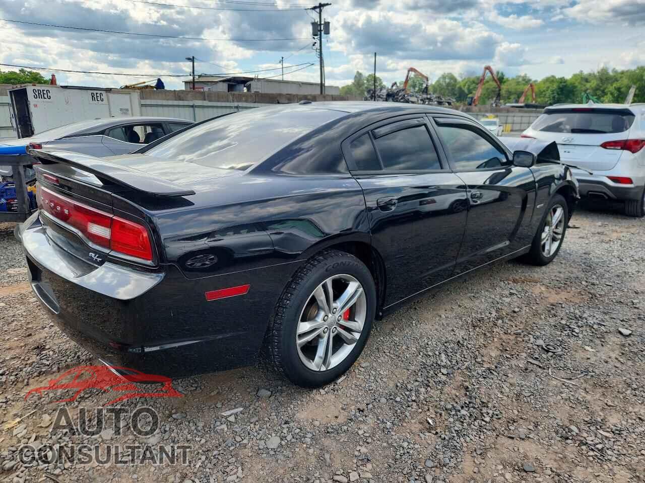 DODGE CHARGER 2013 - 2C3CDXDTXDH577316
