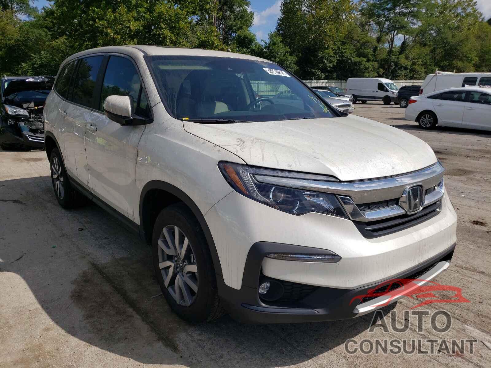 HONDA PILOT 2019 - 5FNYF6H4XKB084151