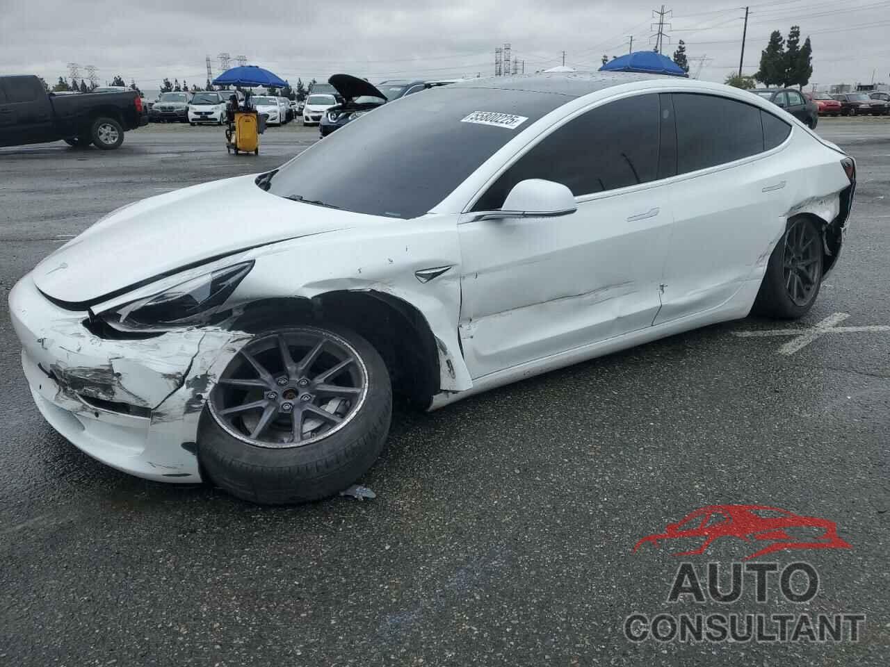 TESLA MODEL 3 2019 - 5YJ3E1EB8KF511152