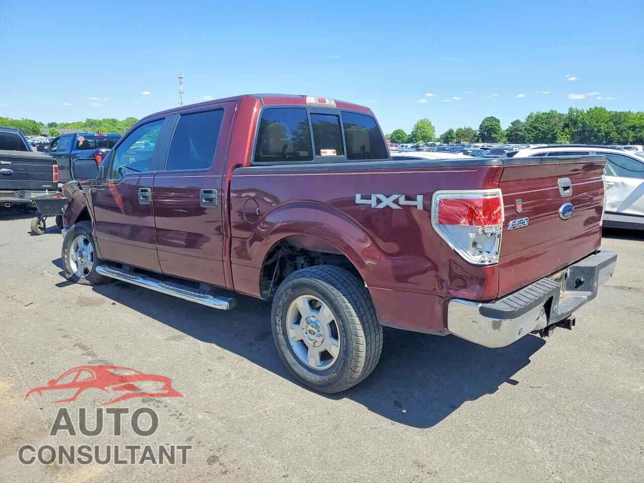 FORD F150 2010 - 1FTEW1E80AFC42780