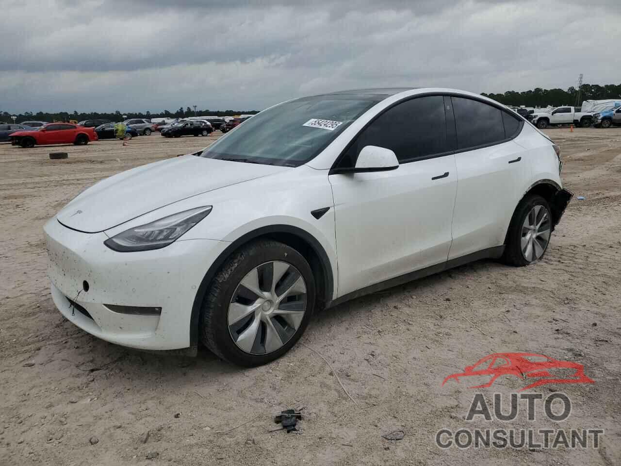 TESLA MODEL Y 2021 - 5YJYGDEE0MF299944