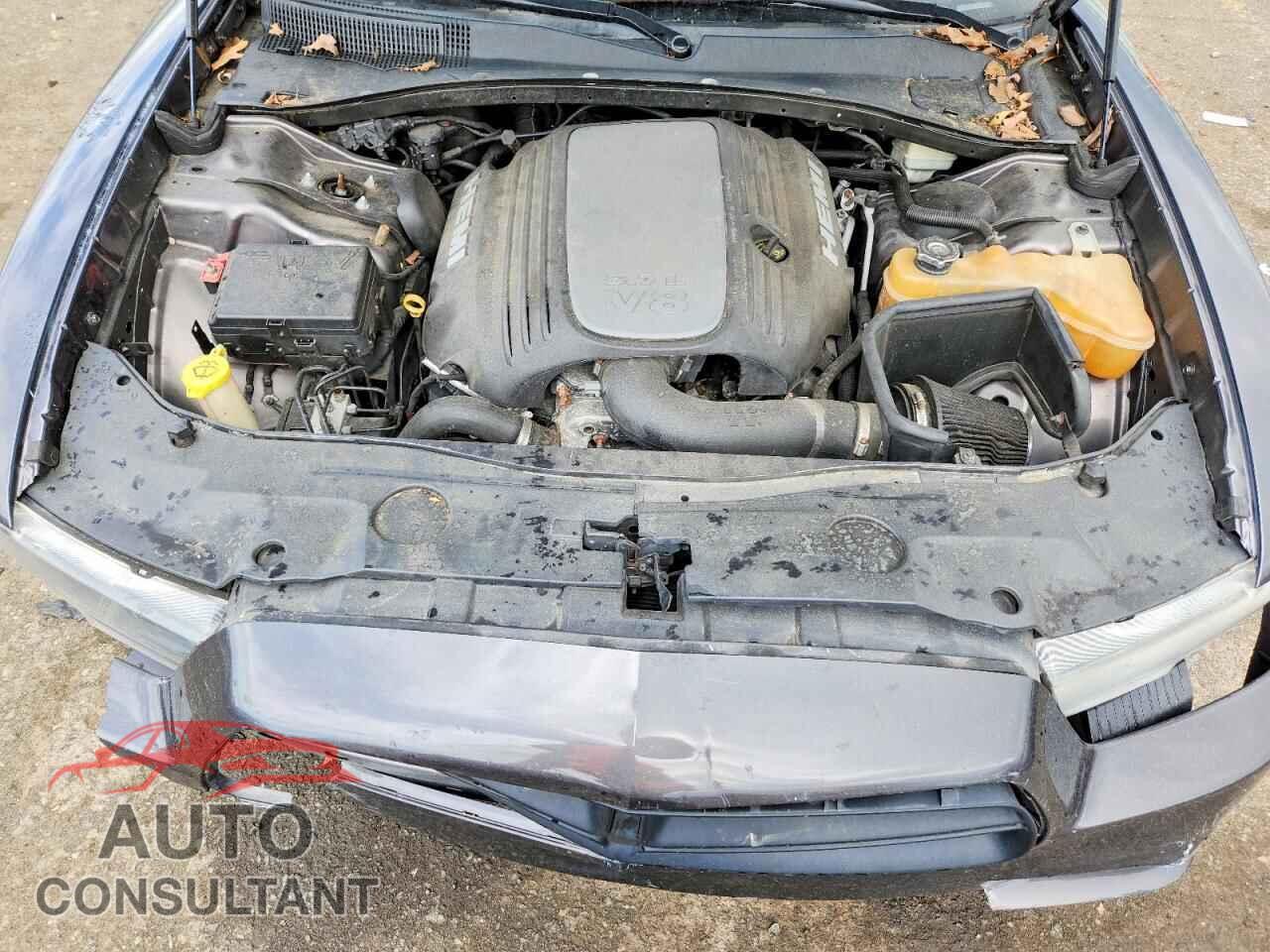 DODGE CHARGER 2013 - 2C3CDXCT5DH545424