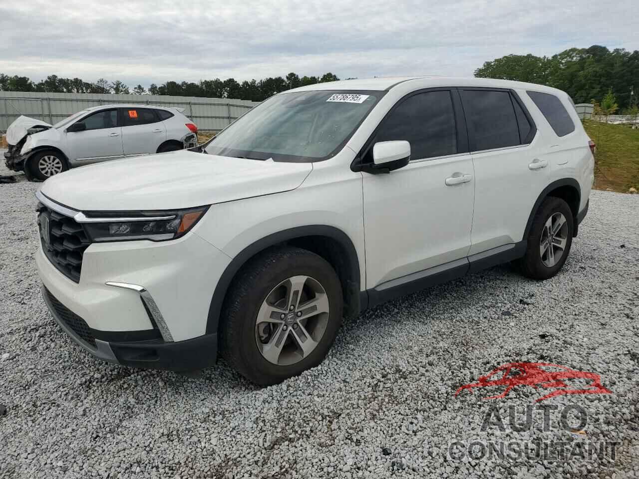 HONDA PILOT 2024 - 5FNYG2H45RB007249