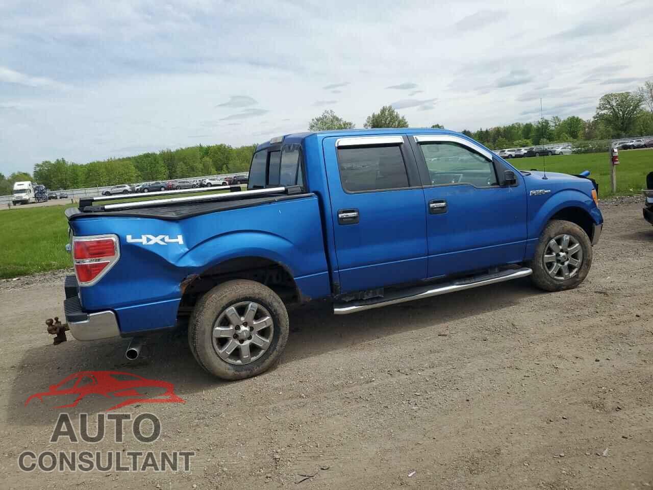 FORD F-150 2013 - 1FTFW1EF1DFA88183