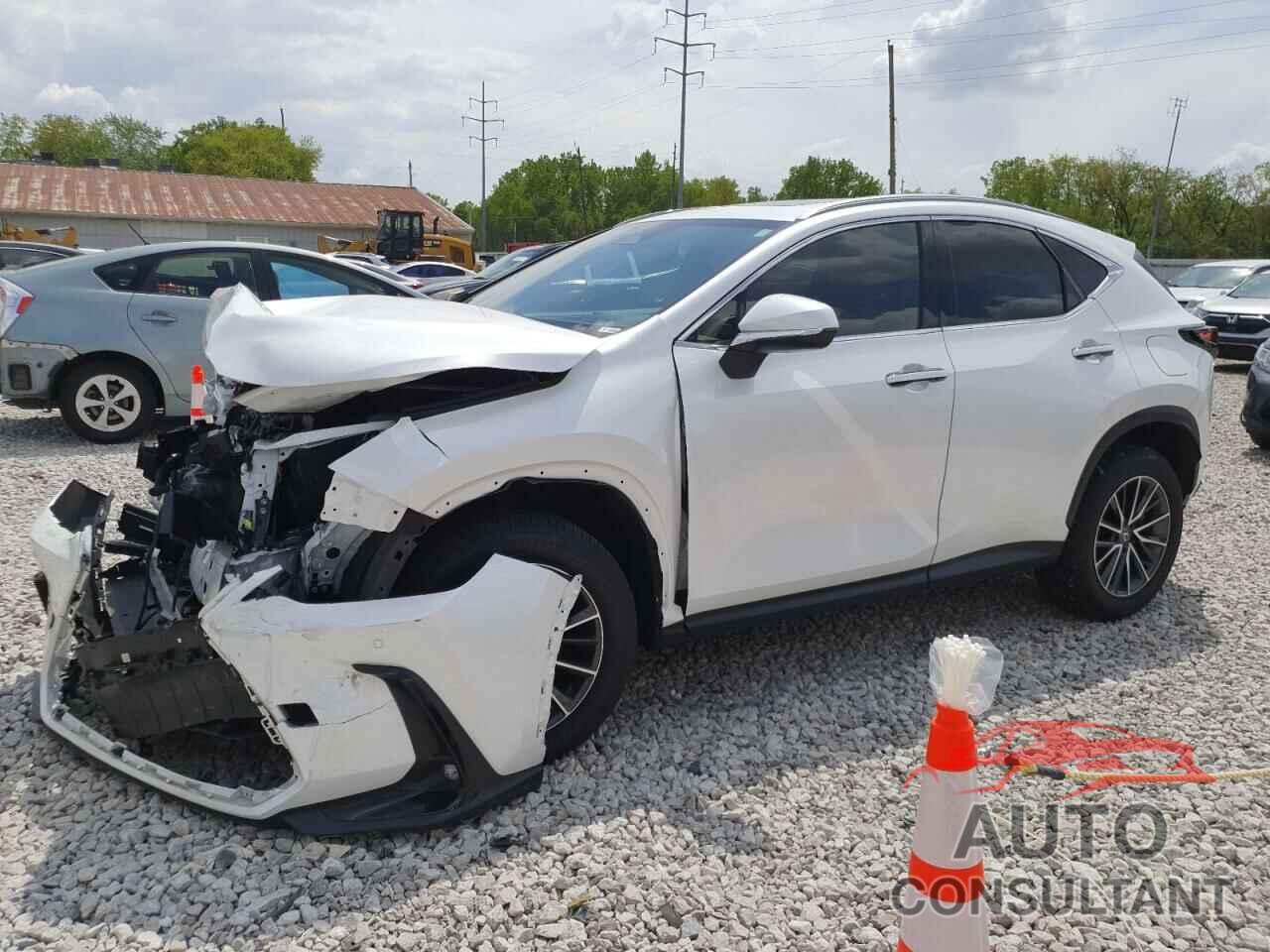 LEXUS NX 350H BA 2024 - JTJGKCEZ9R5013201