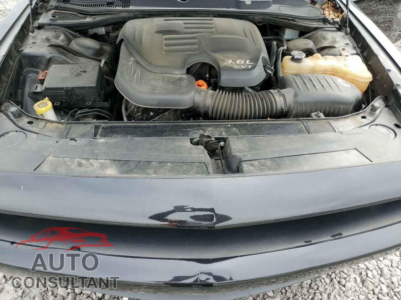DODGE CHALLENGER 2019 - 2C3CDZAG1KH551431
