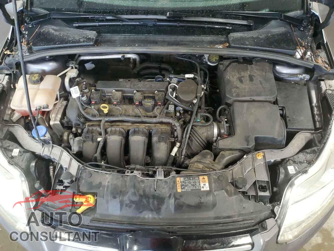FORD FOCUS 2014 - 1FADP3N2XEL274567