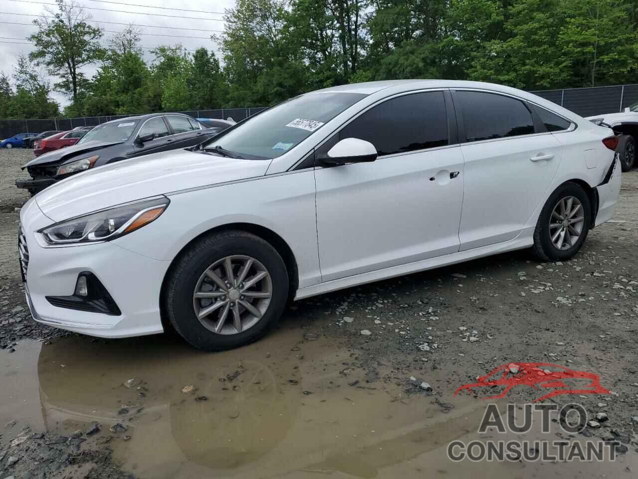 HYUNDAI SONATA 2018 - 5NPE24AF8JH695391