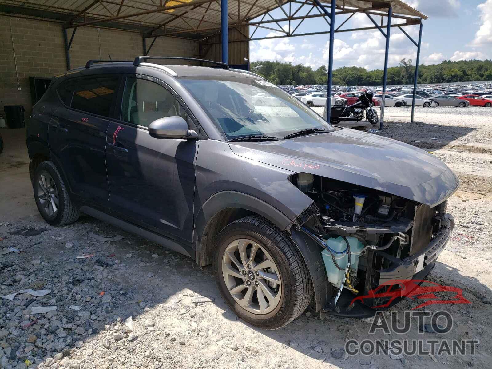 HYUNDAI TUCSON 2017 - KM8J33A40HU386207