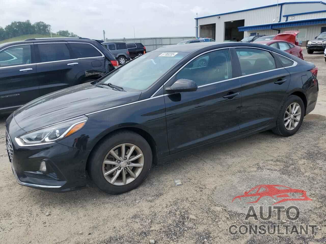 HYUNDAI SONATA 2019 - 5NPE24AF9KH743255