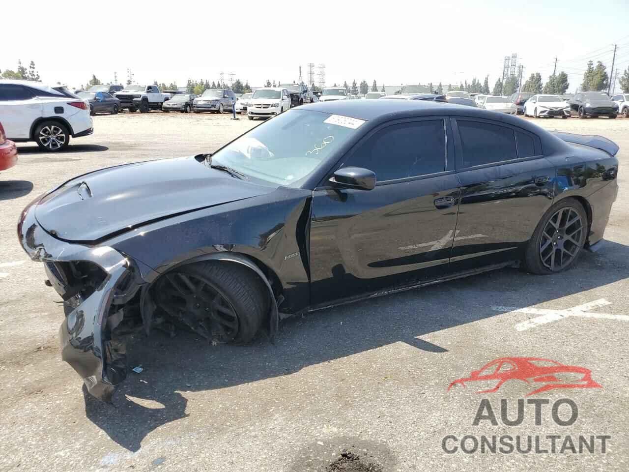 DODGE CHARGER 2019 - 2C3CDXCT5KH575228