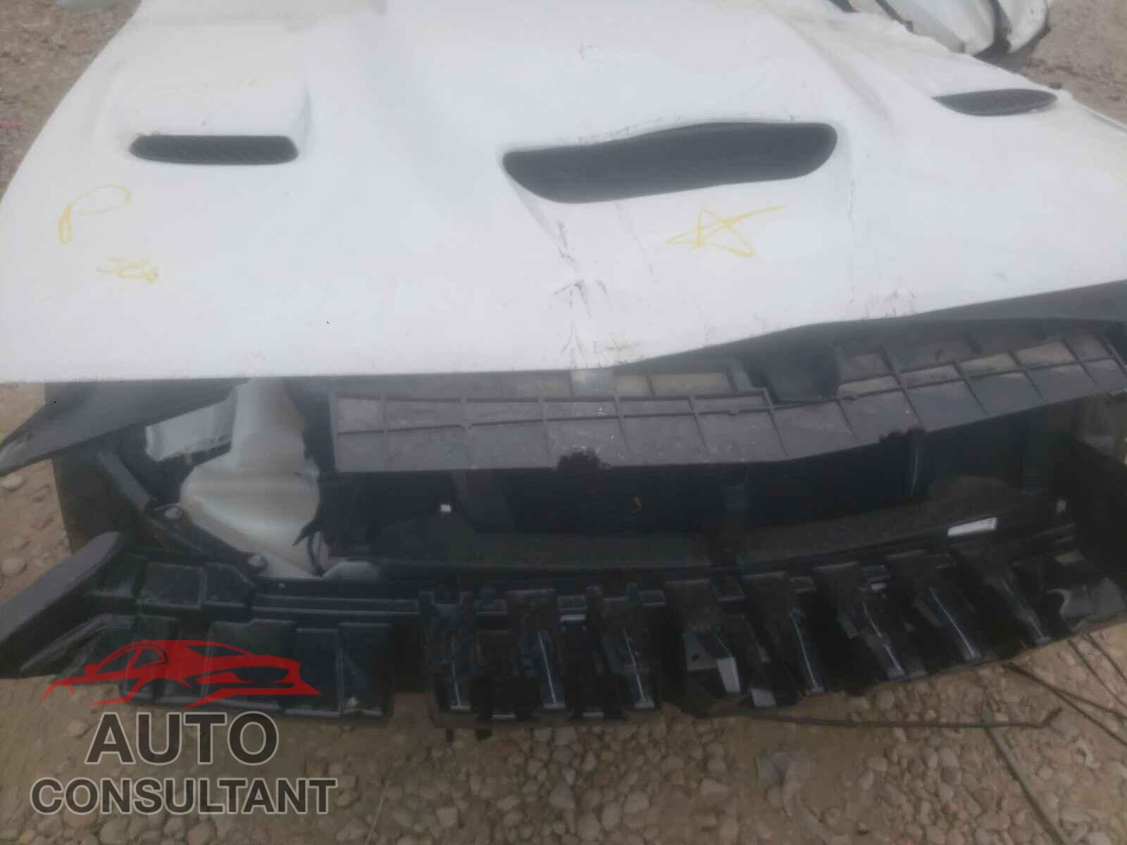 DODGE CHALLENGER 2021 - 2C3CDZFJ1MH578801