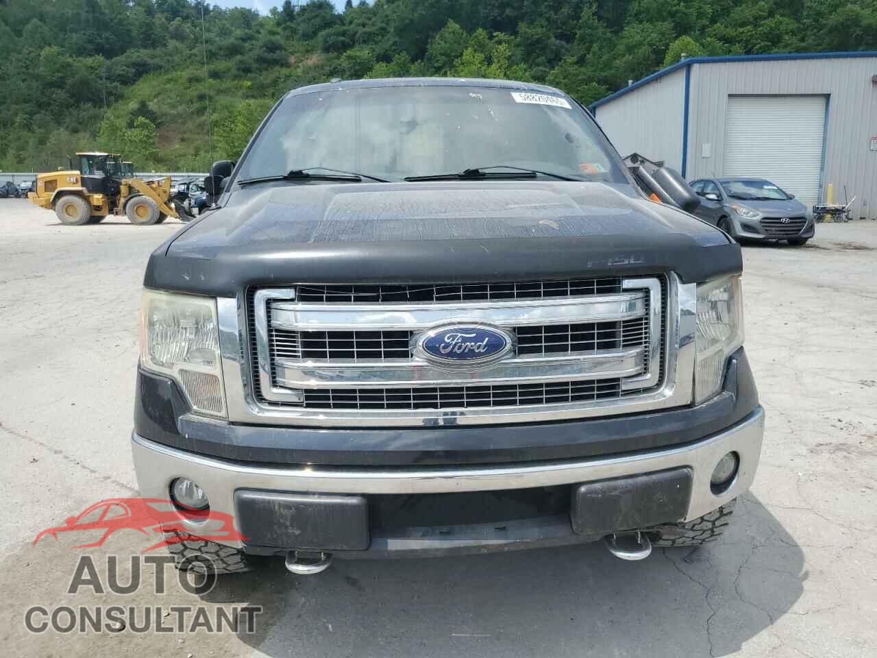 FORD F-150 2013 - 1FTFX1EF1DFA59005