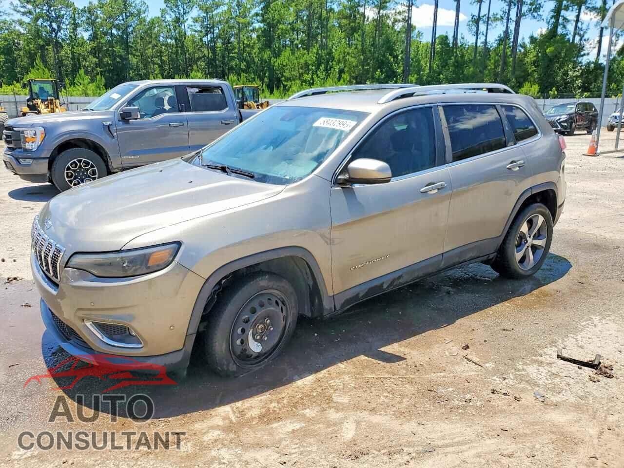 JEEP CHEROKEE 2019 - 1C4PJLDX7KD193473