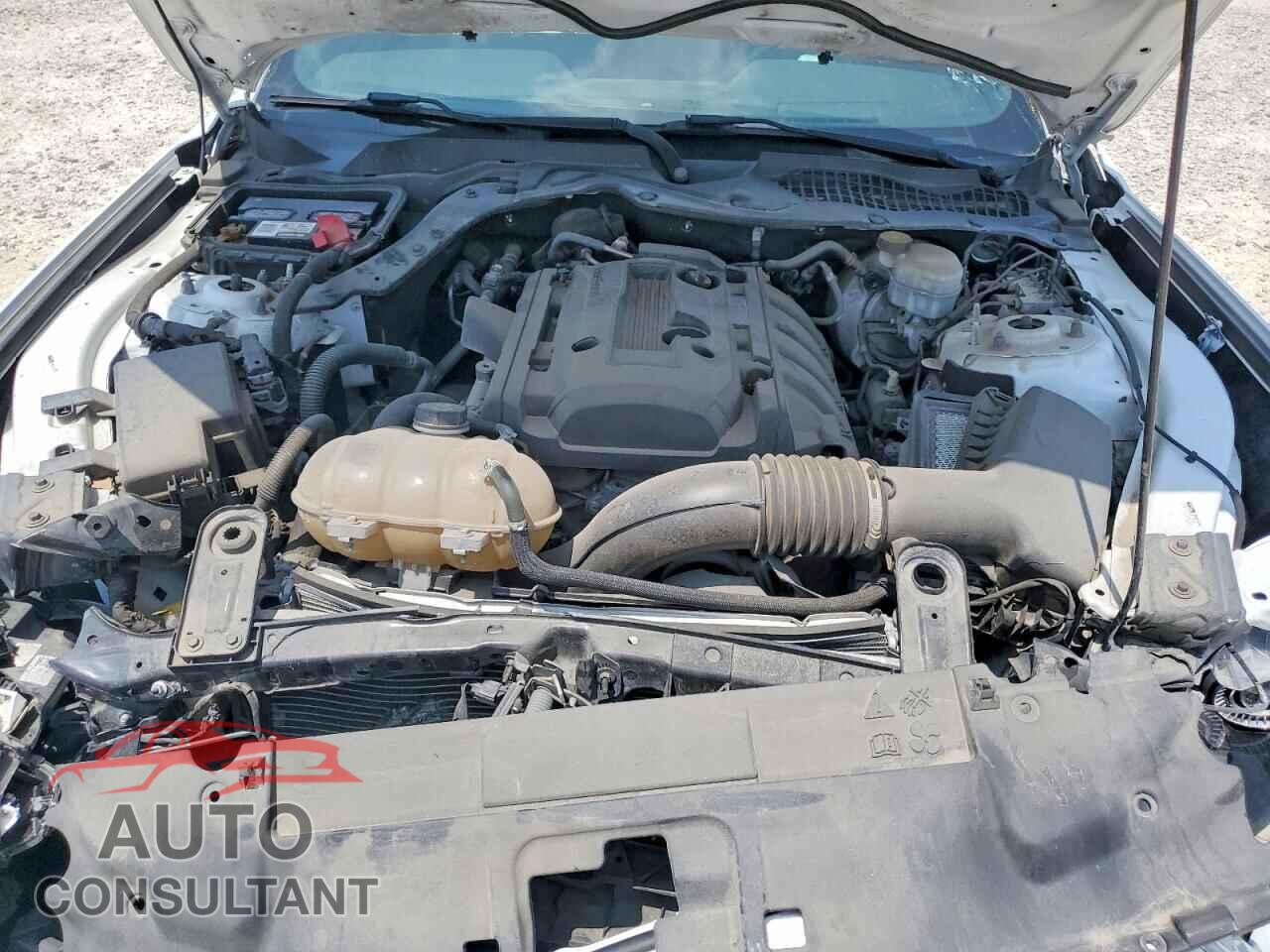 FORD MUSTANG 2019 - 1FA6P8TH7K5122971