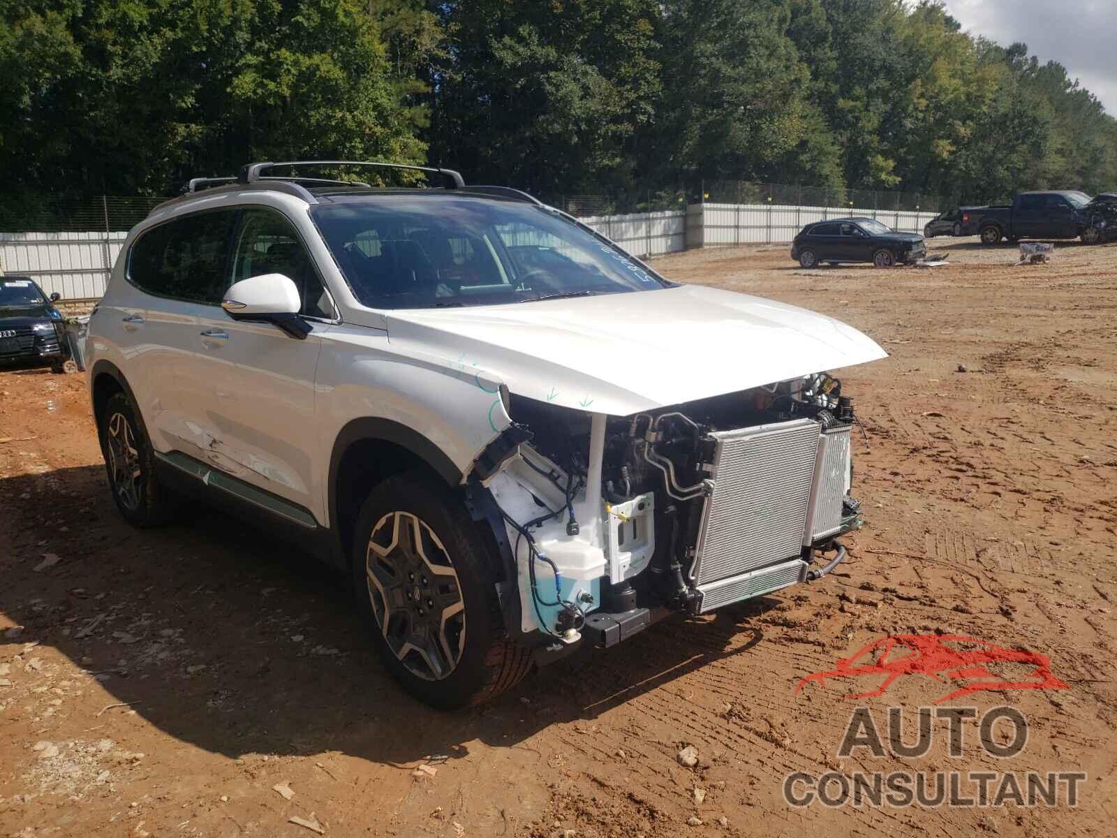 HYUNDAI SANTA FE 2021 - KM8S5DA16MU012608