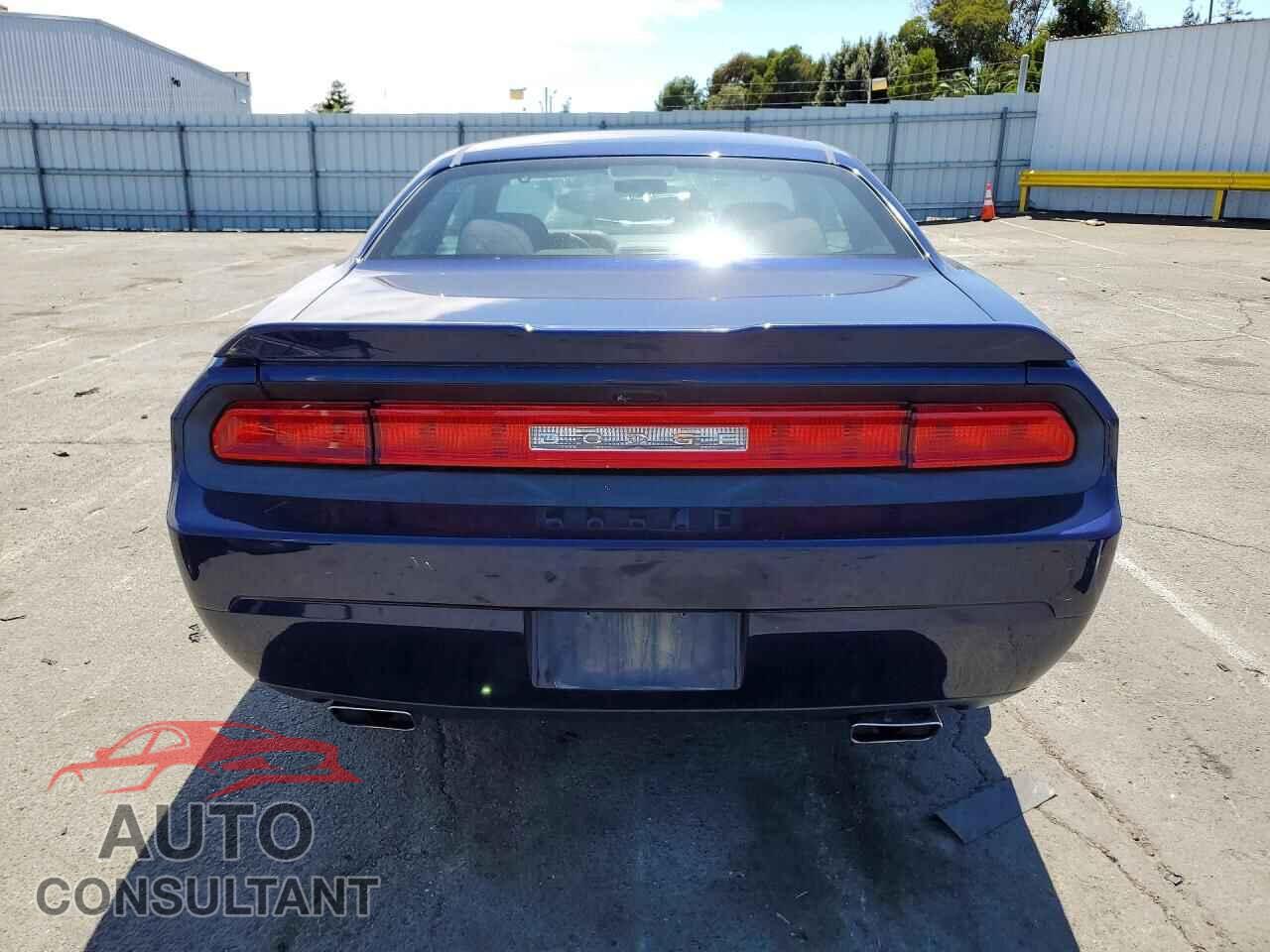 DODGE CHALLENGER 2013 - 2C3CDYAG9DH676190
