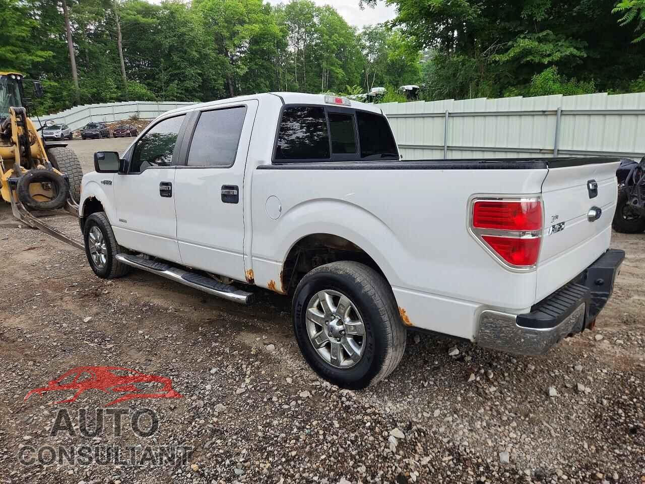 FORD F150 2013 - 1FTFW1ET0DFD60695
