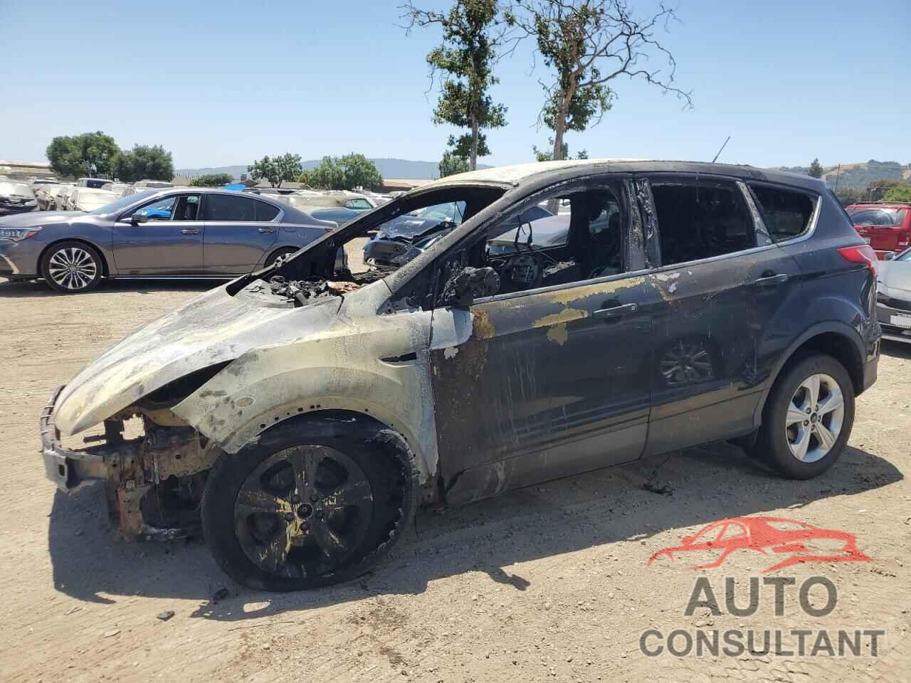 FORD ESCAPE 2014 - 1FMCU0GX4EUB47261