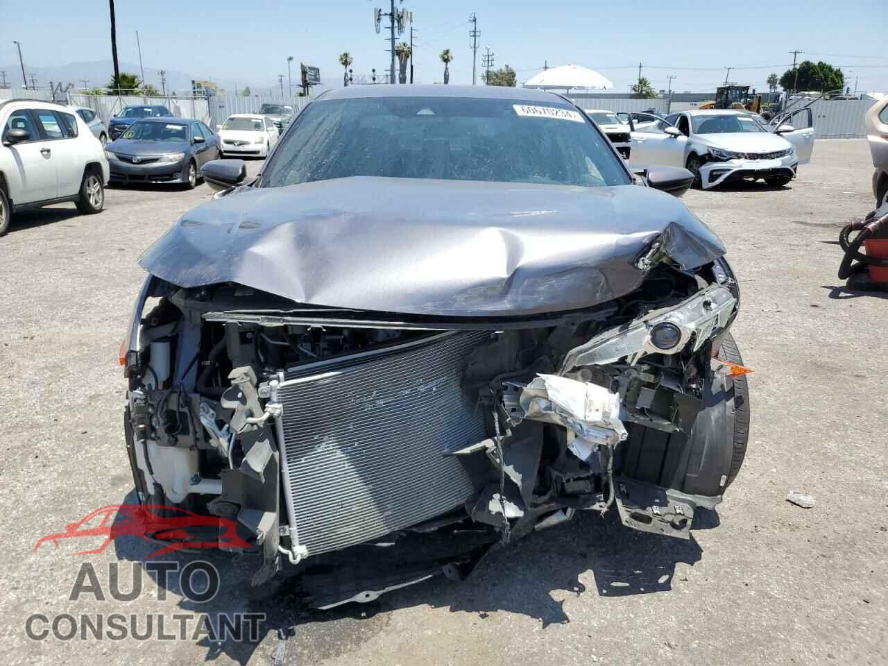 HONDA CIVIC 2019 - 2HGFC2F83KH534622