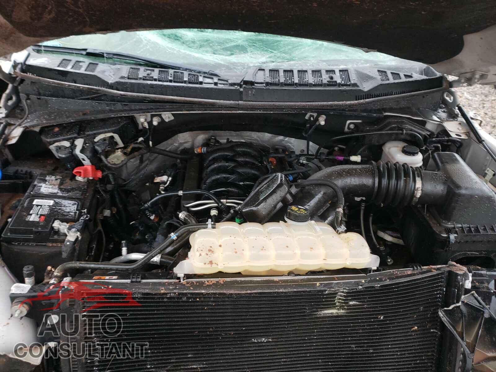 FORD F150 2018 - 1FTEW1E59JKD07154