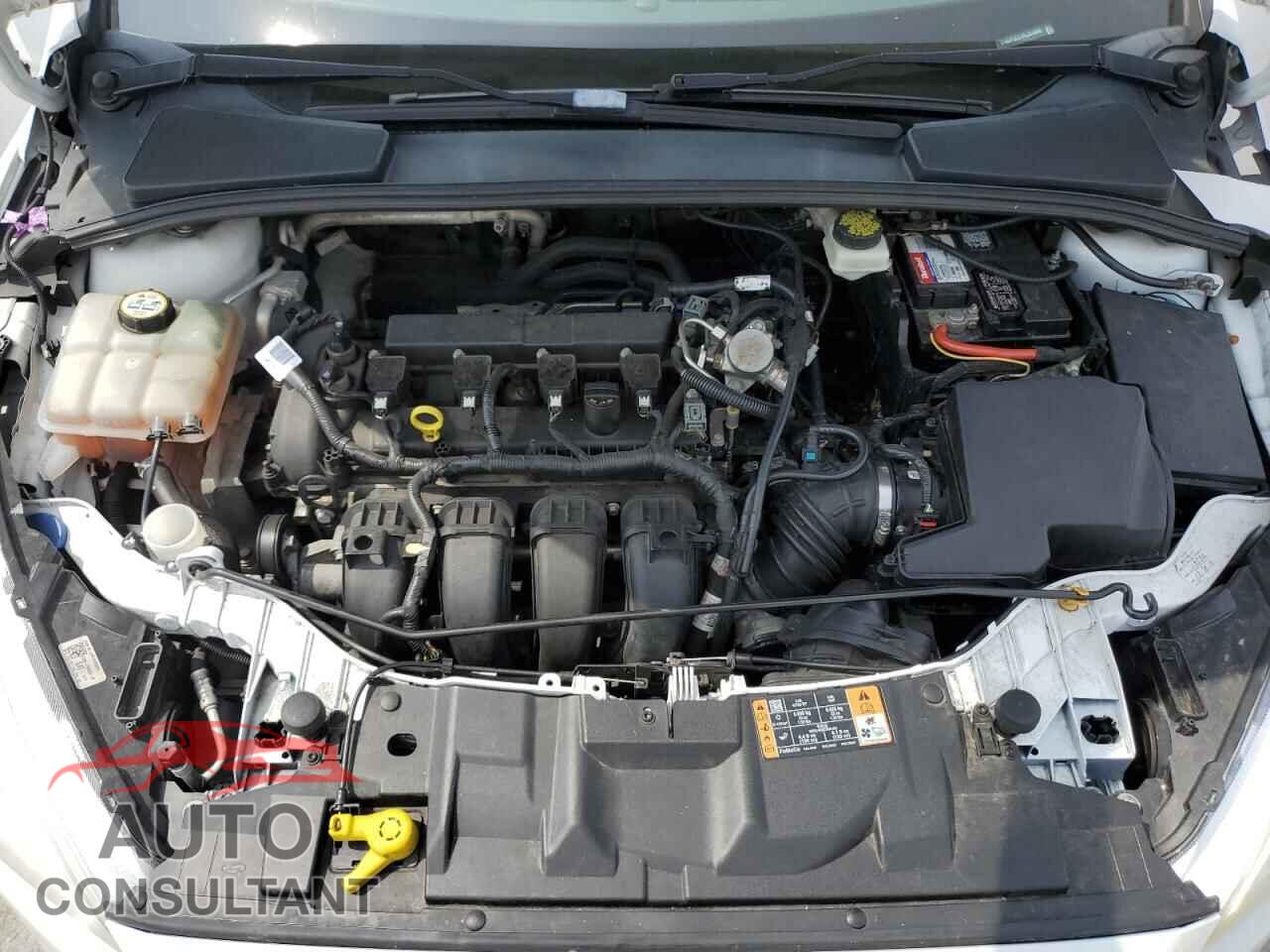 FORD FOCUS 2017 - 1FADP3F21HL224966