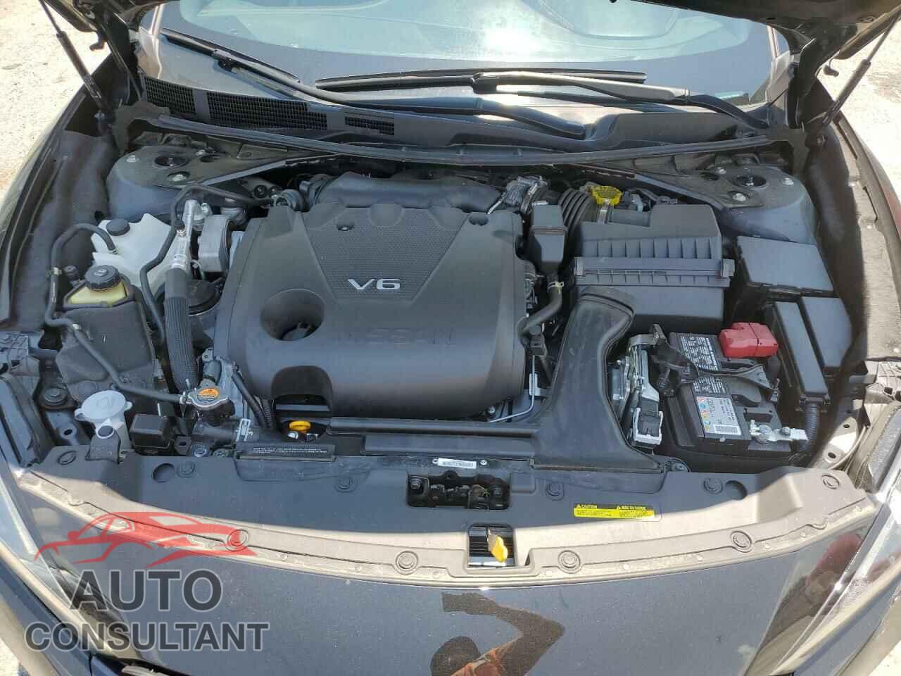 NISSAN MAXIMA 2023 - 1N4AA6EV8PC504108