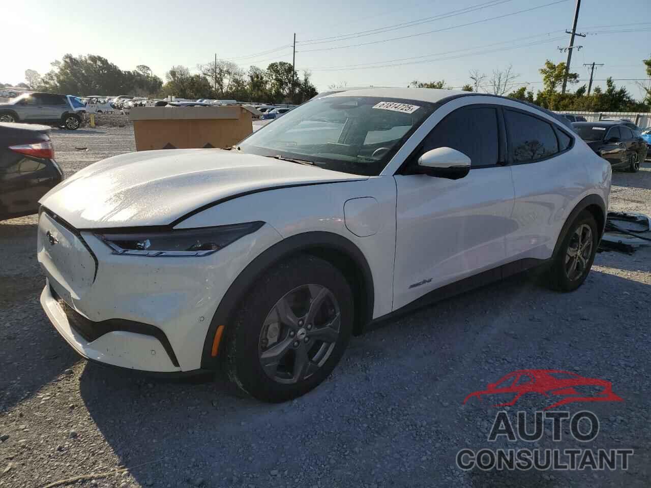 FORD MUSTANG 2022 - 3FMTK1RMXNMA60242