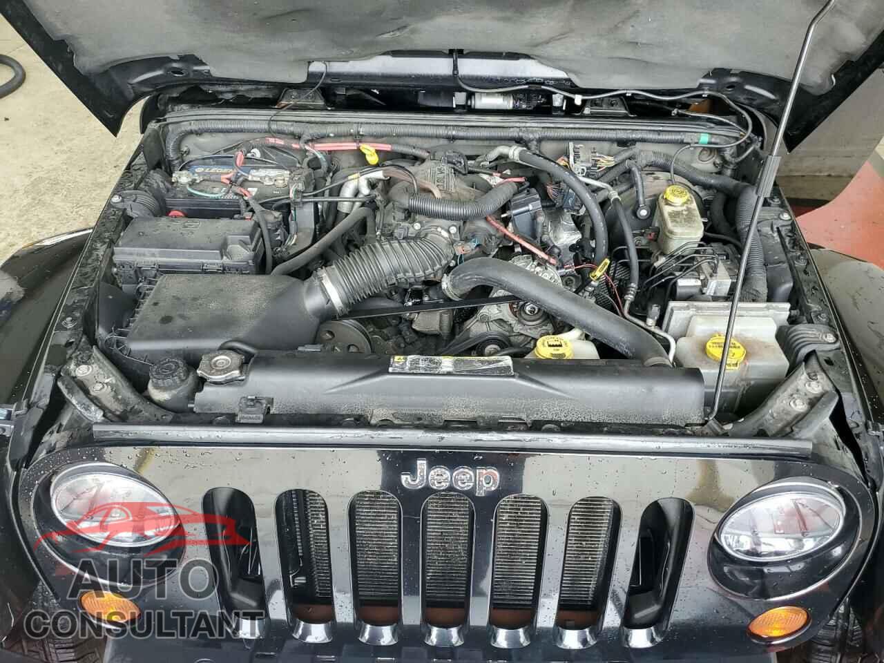 JEEP WRANGLER 2011 - 1J4AA5D18BL606384