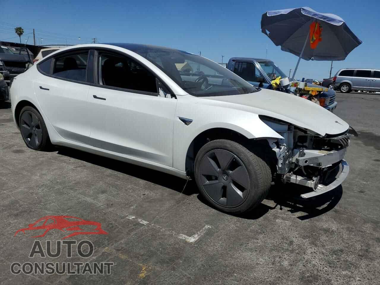TESLA MODEL 3 2019 - 5YJ3E1EA1KF397177