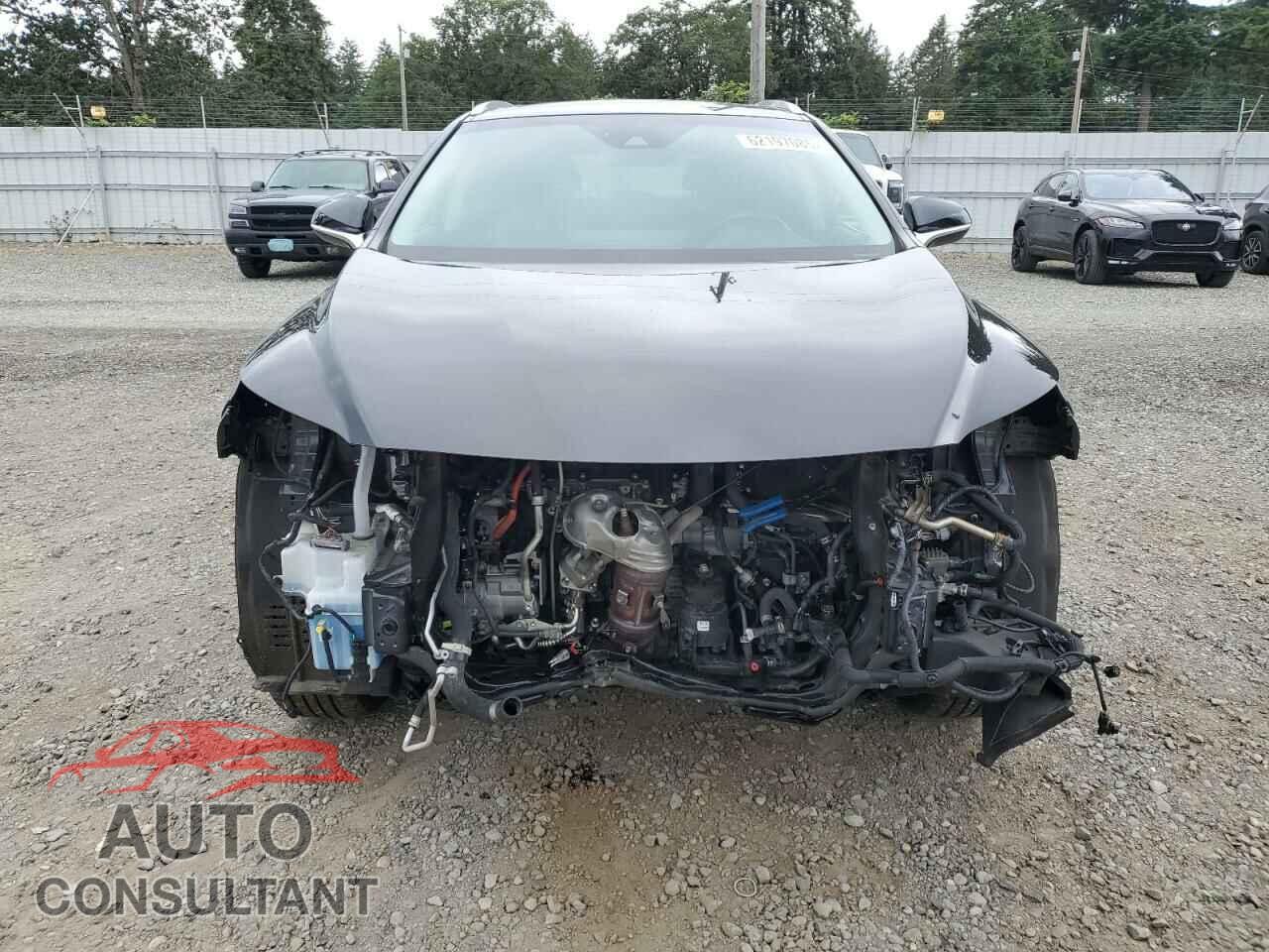 LEXUS RX450 2019 - 2T2BGMCA5KC032804