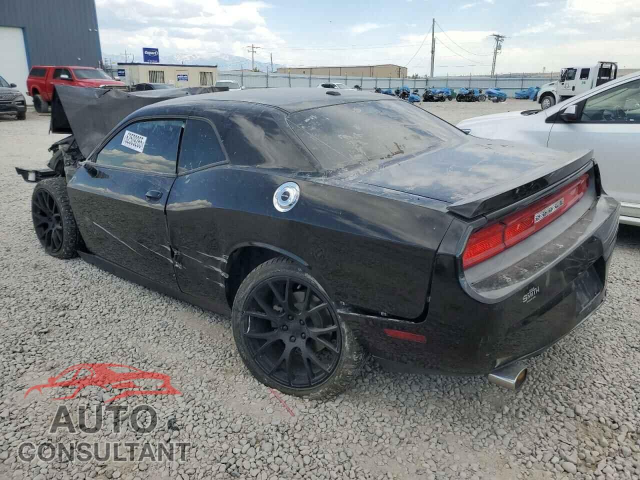 DODGE CHALLENGER 2013 - 2C3CDYAG3DH641810